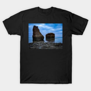 Good Morning at Pokeshaw Rock, New Brunswick Canada v1 T-Shirt